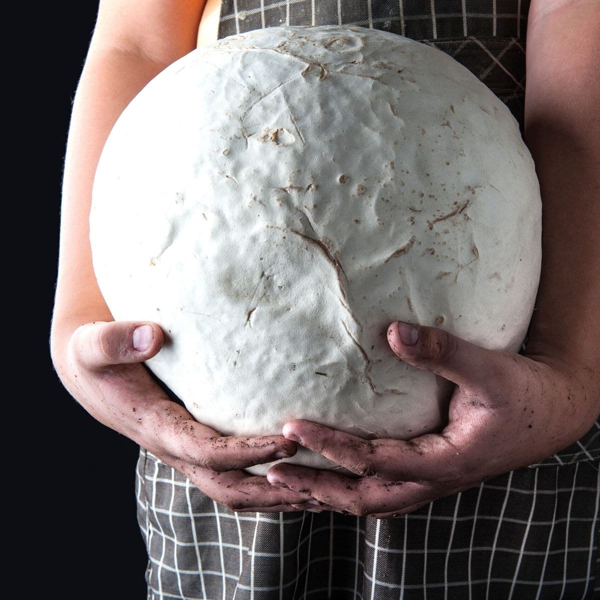 Puffballs - Mushroom Appreciation