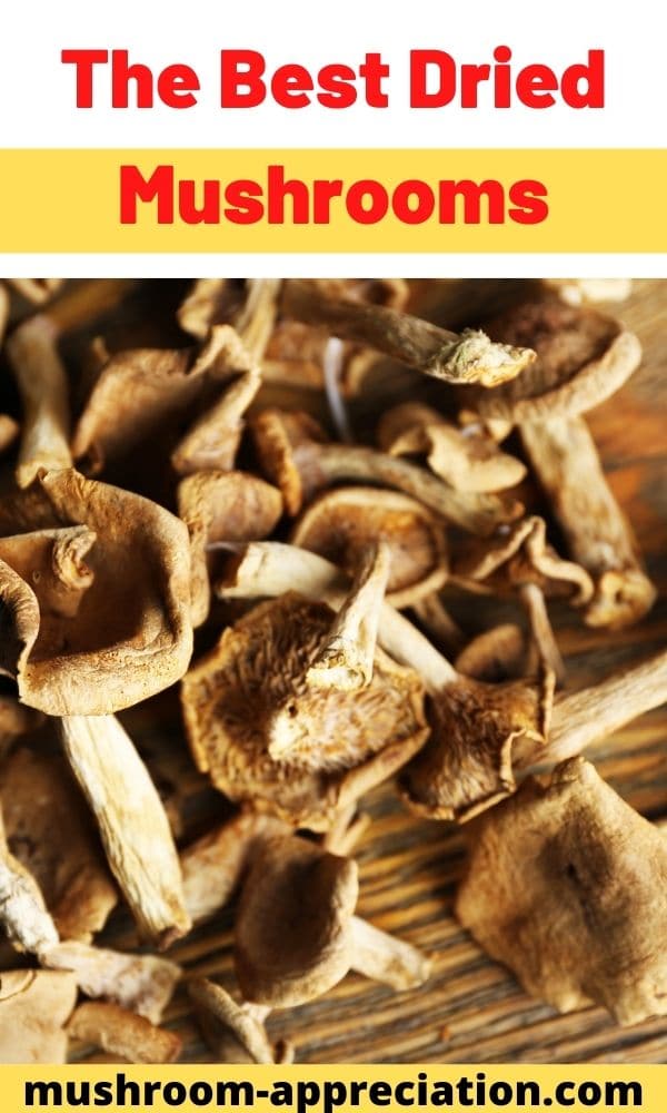 The Best Dried Mushrooms - Mushroom Appreciation