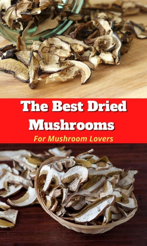 The Best Dried Mushrooms - Mushroom Appreciation