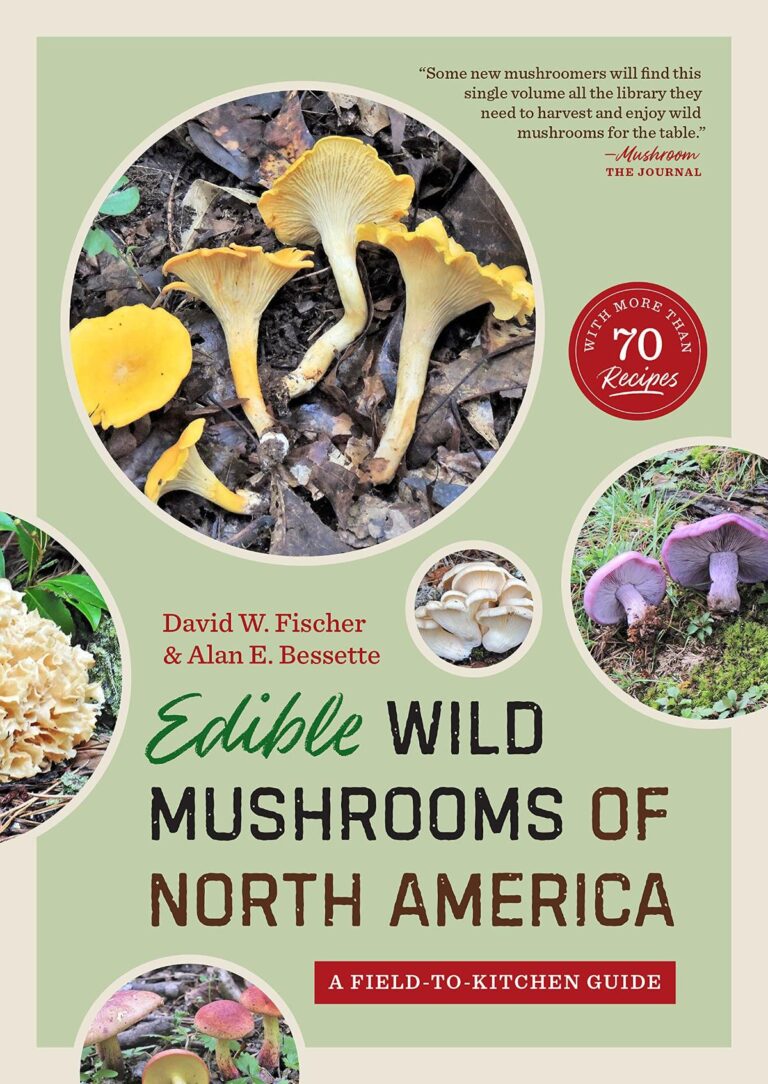 The Best Mushroom Identification Books By Region - Mushroom Appreciation