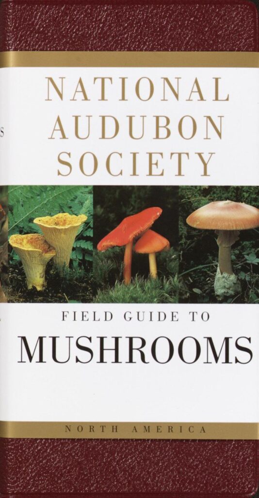 The Best Mushroom Identification Books By Region - Mushroom Appreciation