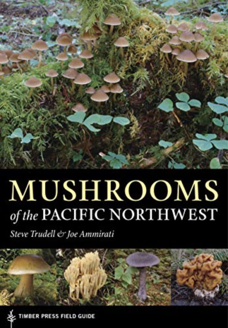 The Best Mushroom Identification Books By Region - Mushroom Appreciation