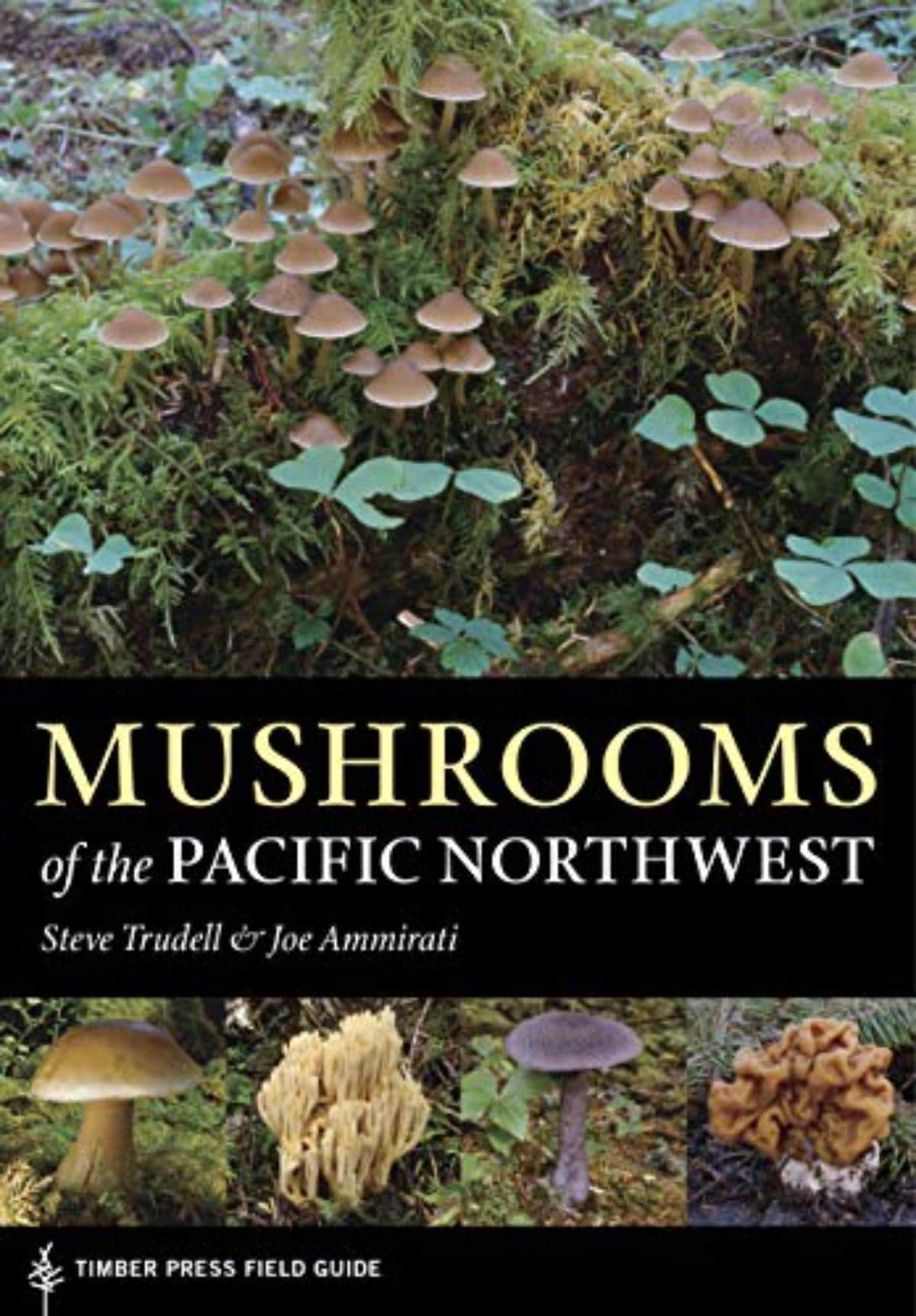 Edible Wild Plants and Mushrooms - Recipes and Guides