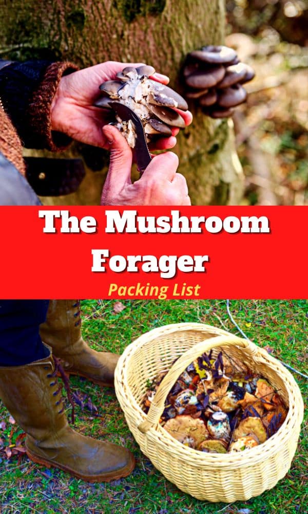 The Mushroom Forager Packing List - Mushroom Appreciation