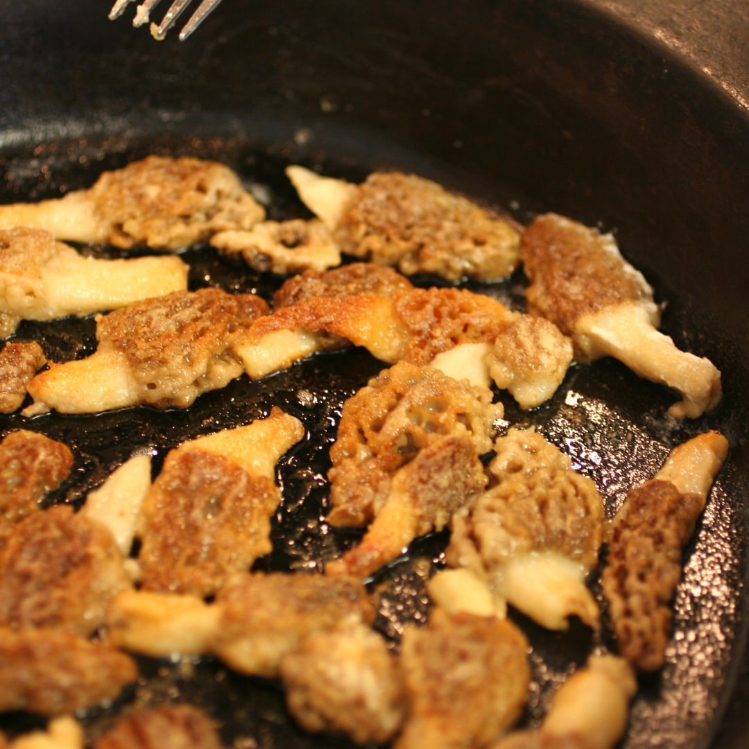 fried morel mushrooms