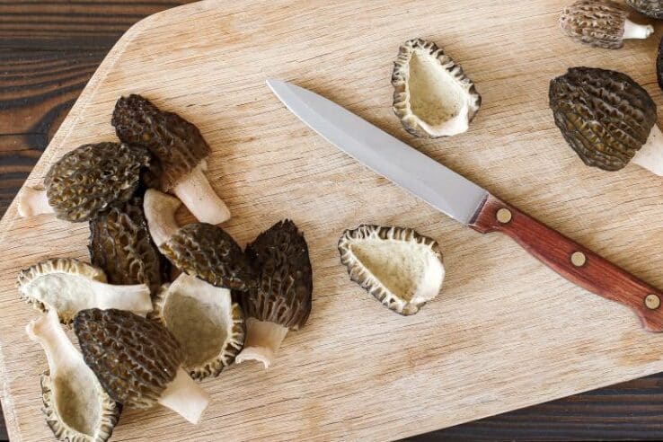 hollow morel mushrooms cooking