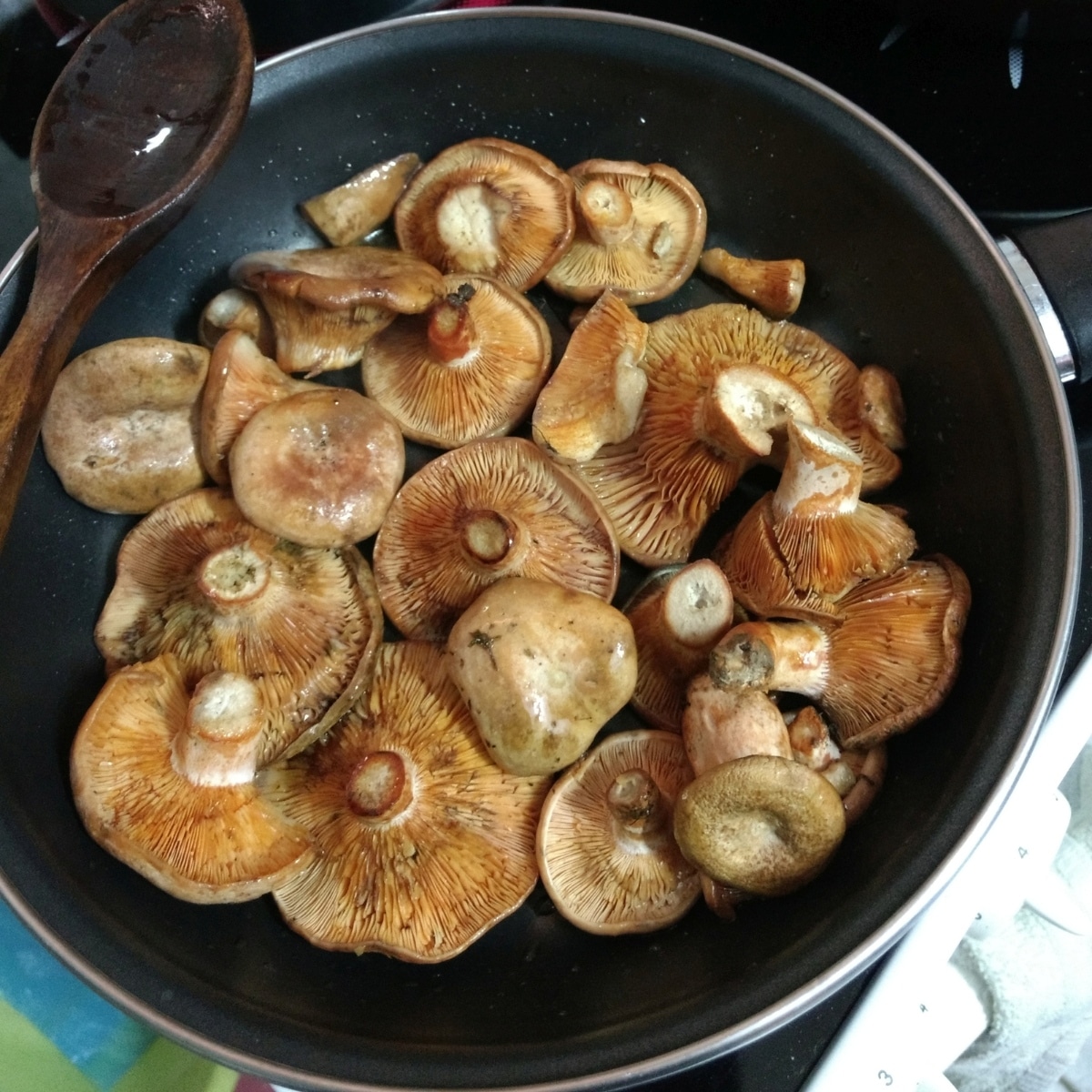 cooking milky cap mushrooms