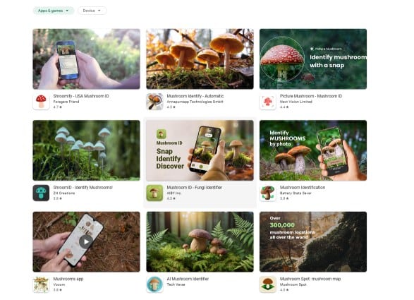 google play mushroom id apps
