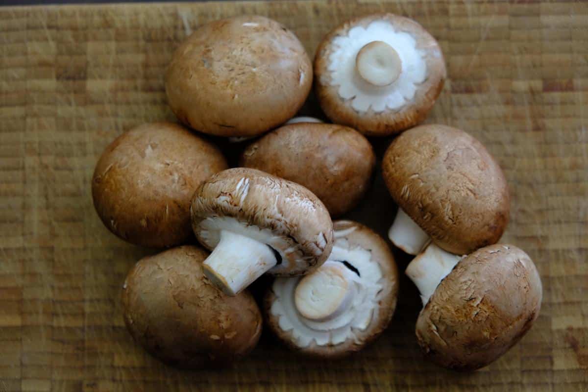 veils on button mushrooms