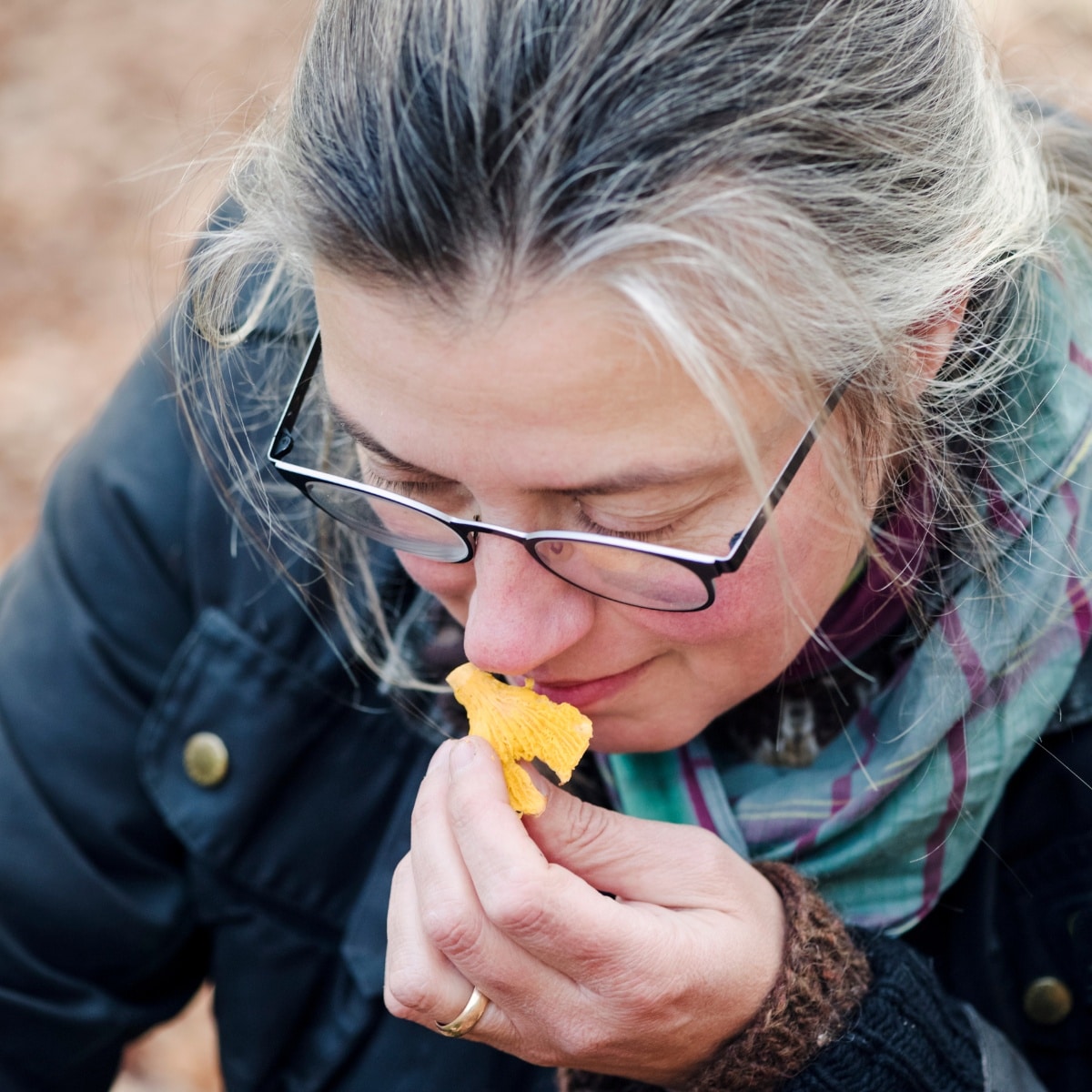 taste testing nibble and spit mushroom id