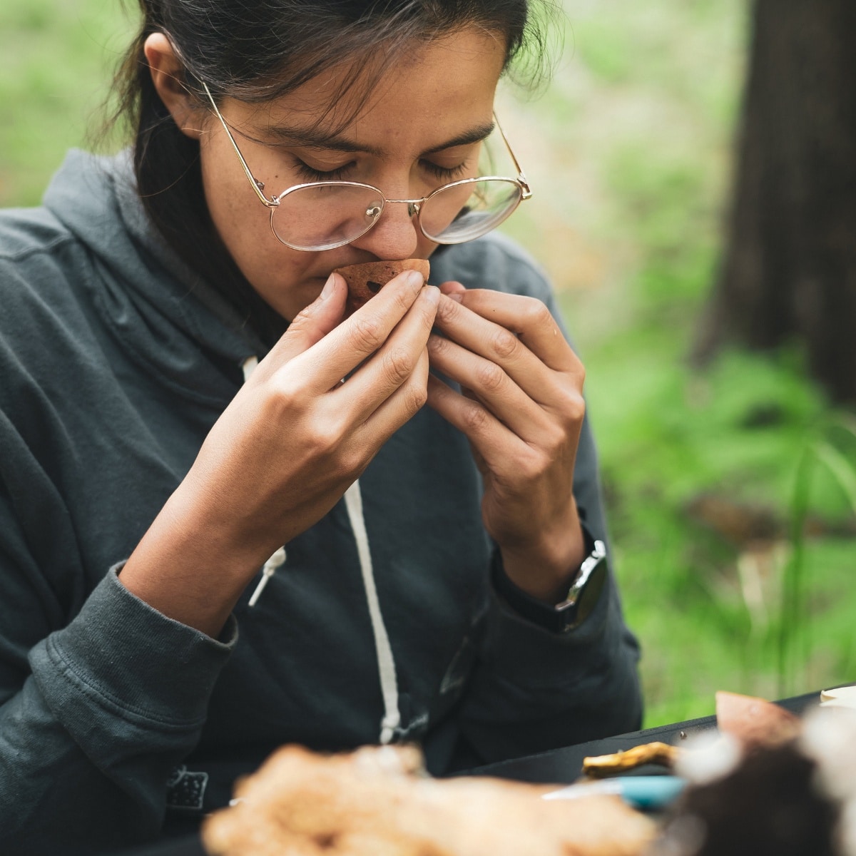 nibble and spit mushroom identification method