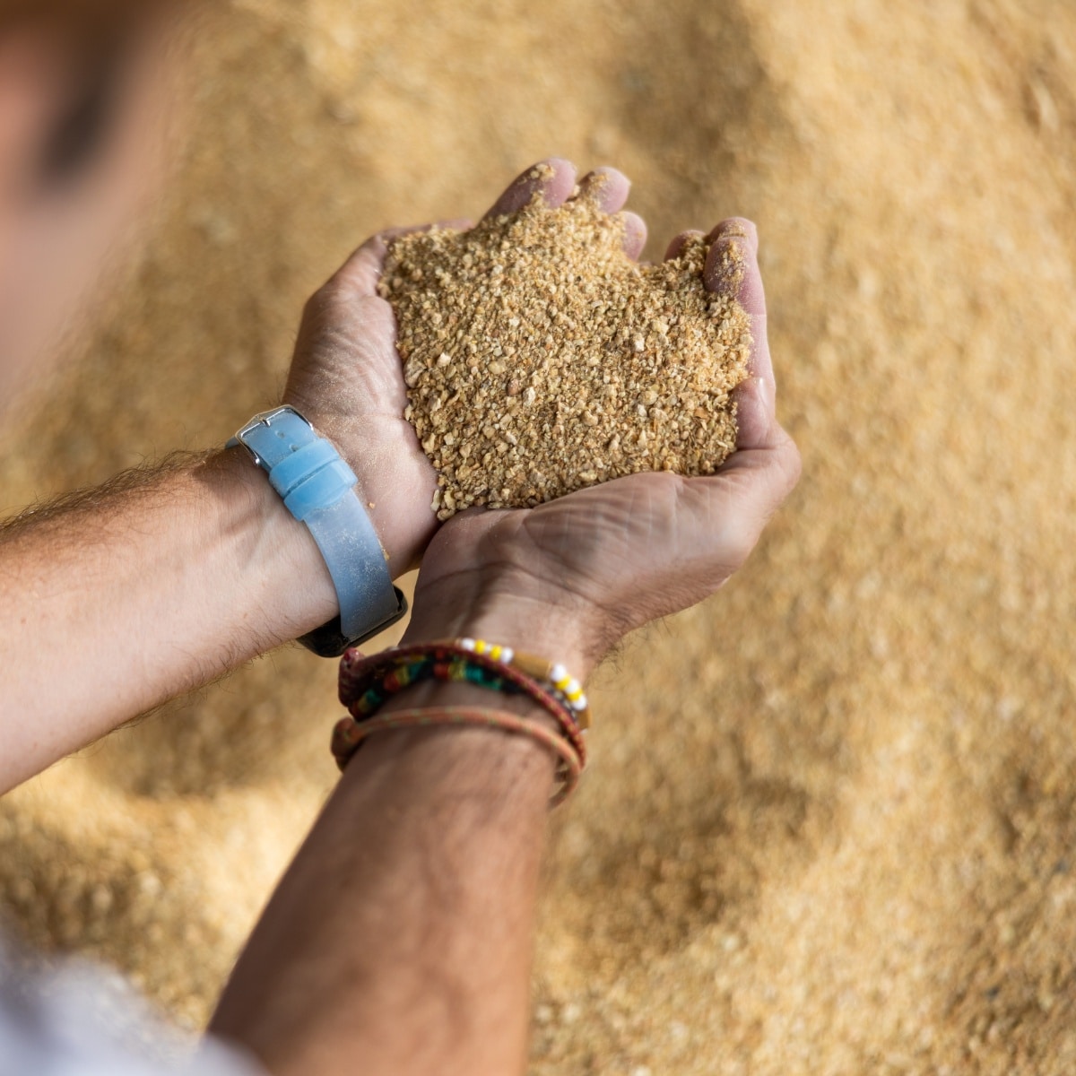 soy hulls substrate recipe for mushrooms