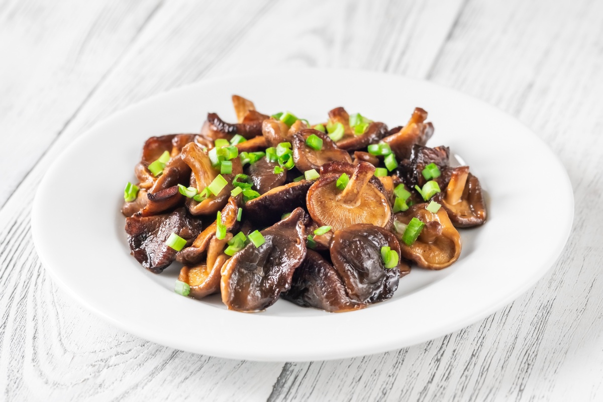 shiitake gourmet mushrooms