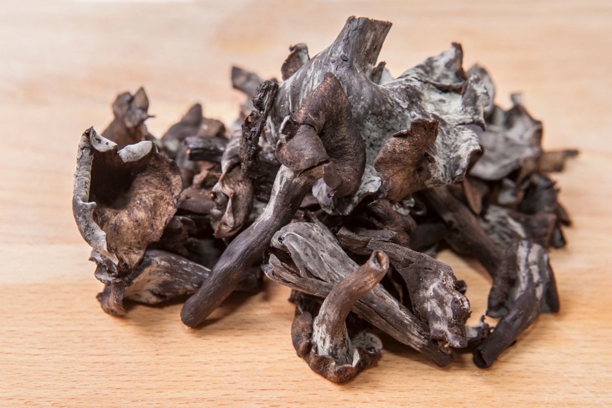 black trumpet gourmet mushrooms