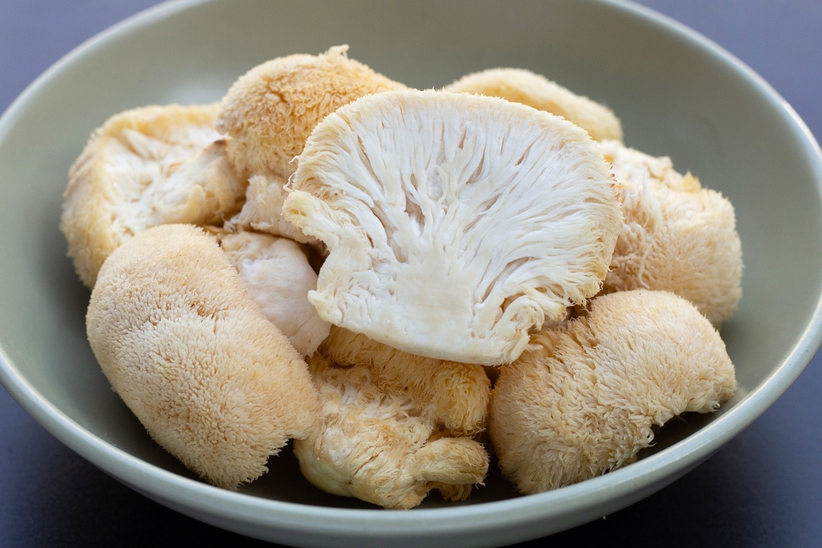 lions mane gourmet mushrooms