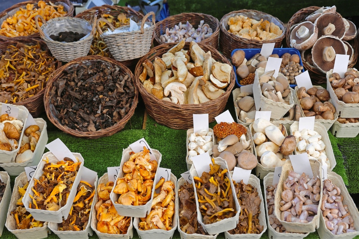 display of specialty mushrooms