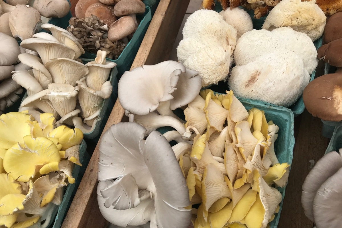 farmer's market gourmet mushrooms