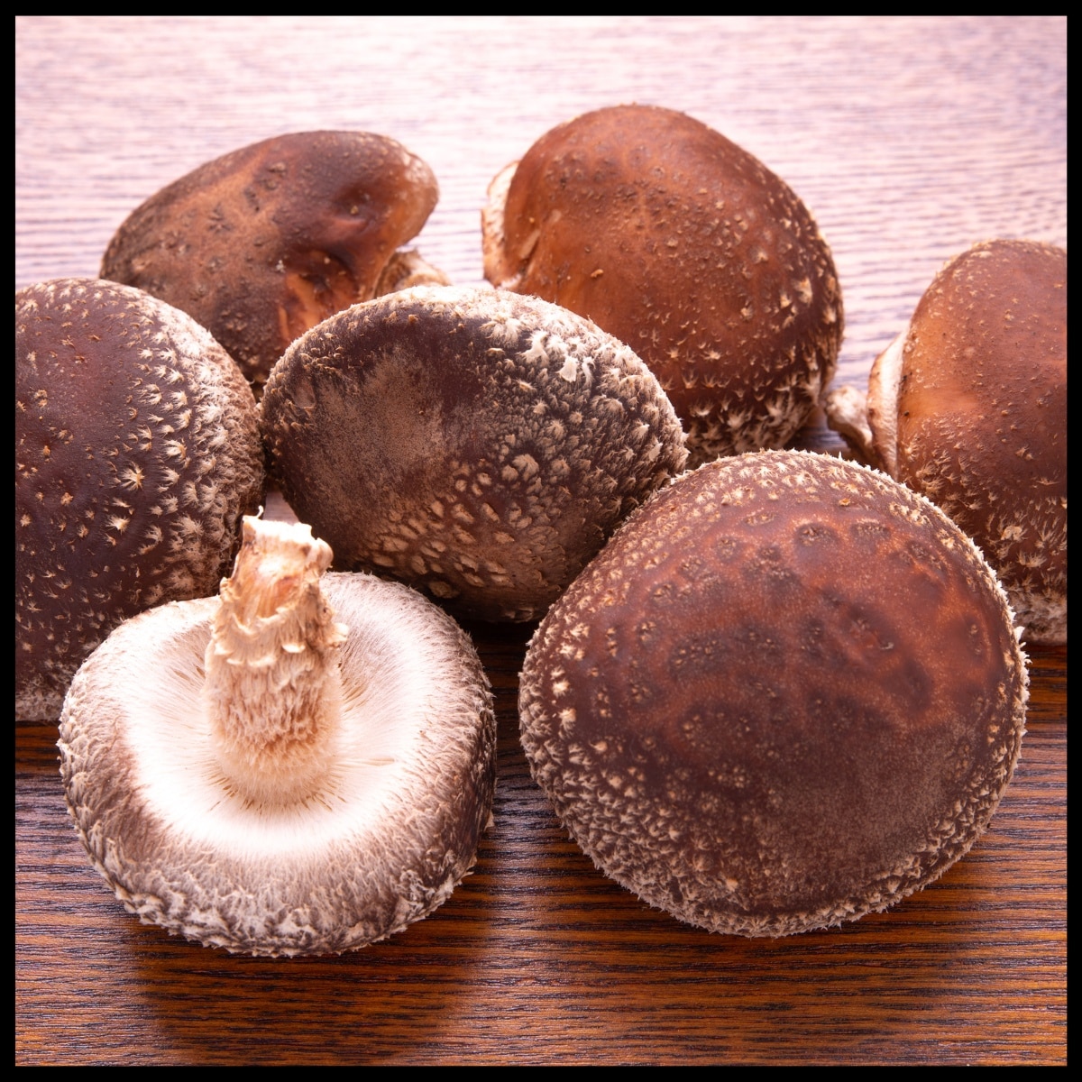 grow shiitake mushrooms from bags